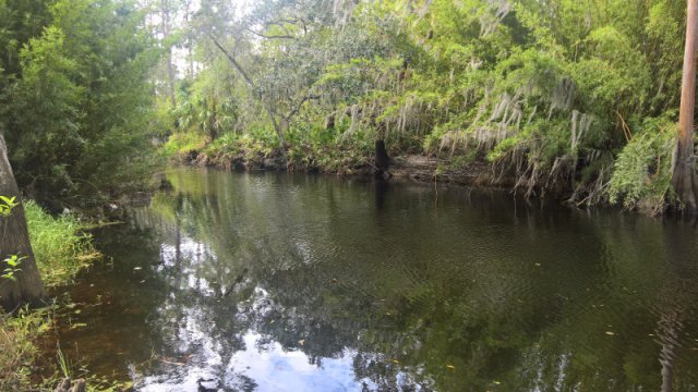 Kanutour auf dem Shingle Creek