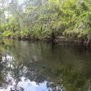 Kanutour auf dem Shingle Creek