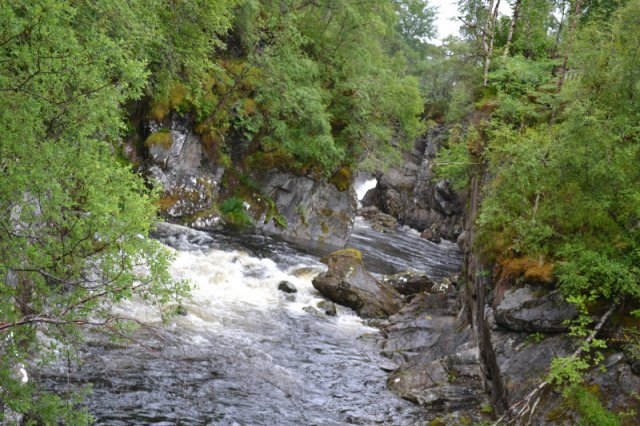 Glen of Affric
